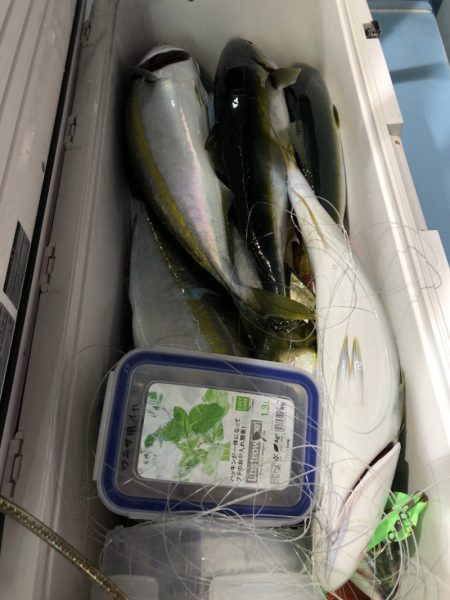 第二八坂丸 釣果