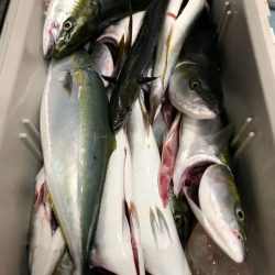 第二八坂丸 釣果