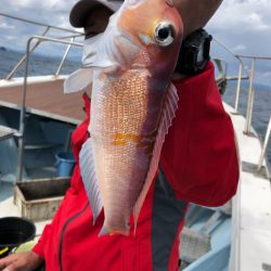 あみや渡船 JIGBOY 釣果