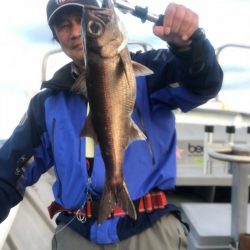 ＴＡＲＯＭＡＲＵ 釣果