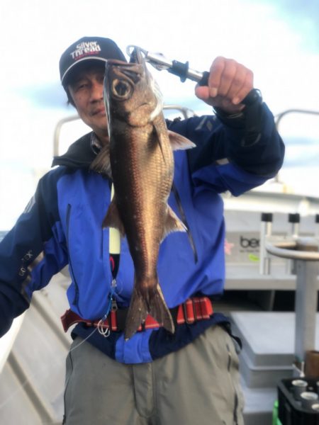 ＴＡＲＯＭＡＲＵ 釣果