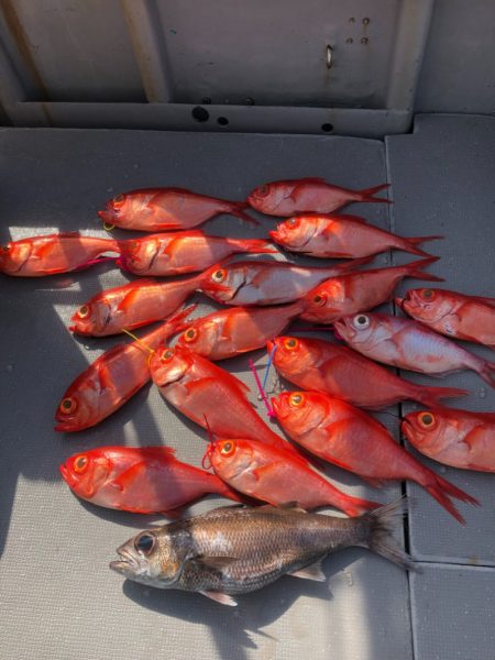 ＴＡＲＯＭＡＲＵ 釣果