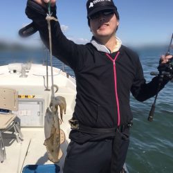 遊漁船メテオ 釣果