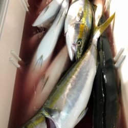 第二八坂丸 釣果