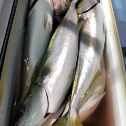 第二八坂丸 釣果