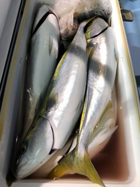 第二八坂丸 釣果