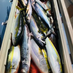 第二八坂丸 釣果