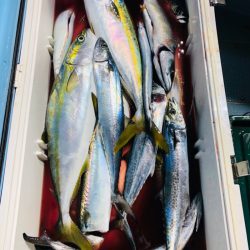 第二八坂丸 釣果