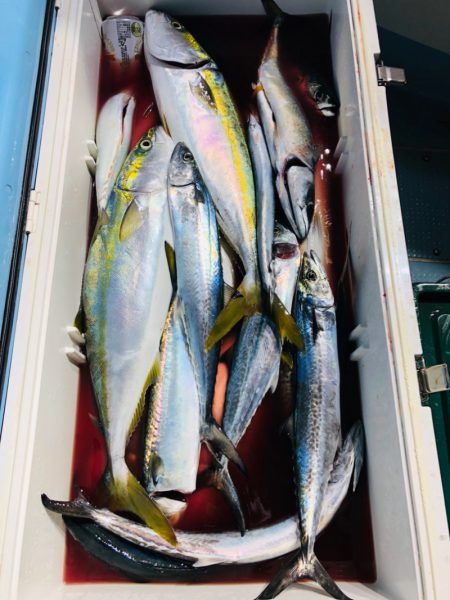 第二八坂丸 釣果