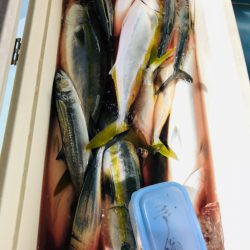 第二八坂丸 釣果