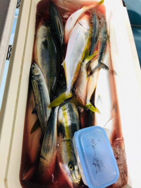 第二八坂丸 釣果