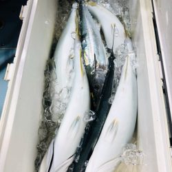 第二八坂丸 釣果