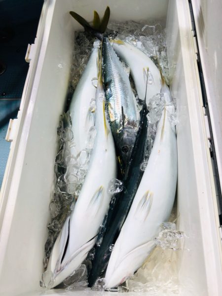 第二八坂丸 釣果