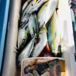 第二八坂丸 釣果