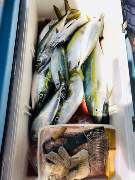 第二八坂丸 釣果