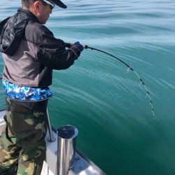 ビッグファイター 釣果