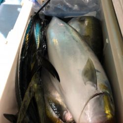 第二八坂丸 釣果