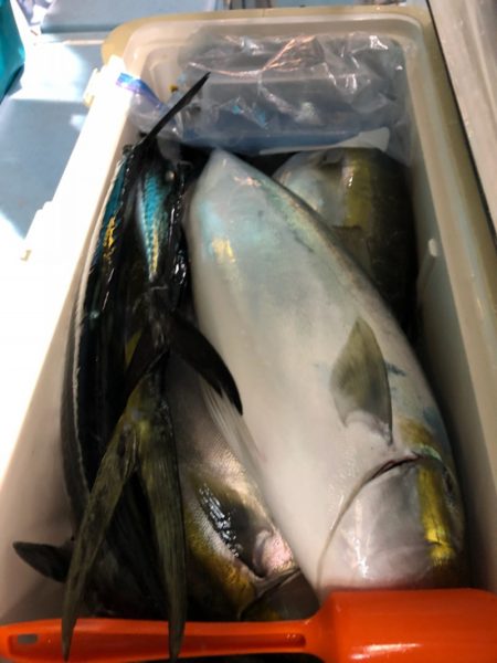 第二八坂丸 釣果