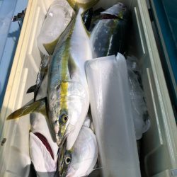 第二八坂丸 釣果