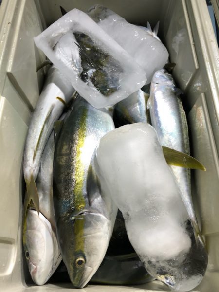 第二八坂丸 釣果