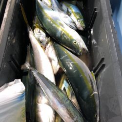 第二八坂丸 釣果