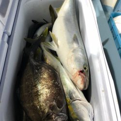 第二八坂丸 釣果