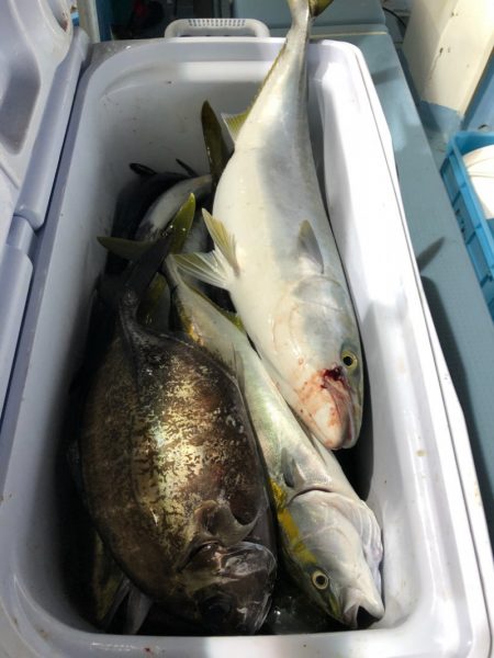 第二八坂丸 釣果