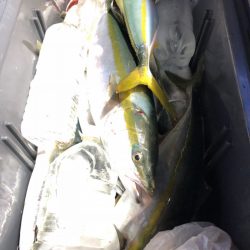 第二八坂丸 釣果