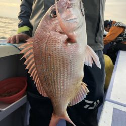 新幸丸 釣果