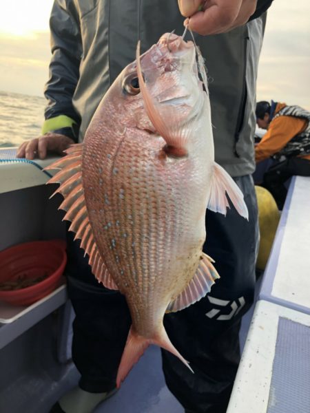 新幸丸 釣果