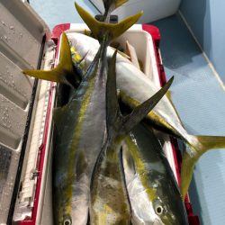 第二八坂丸 釣果