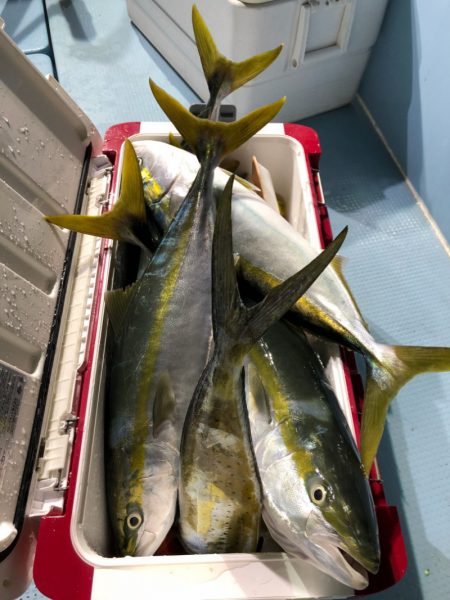 第二八坂丸 釣果