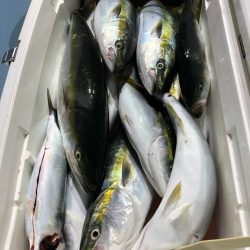 第二八坂丸 釣果