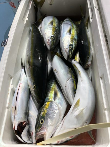 第二八坂丸 釣果