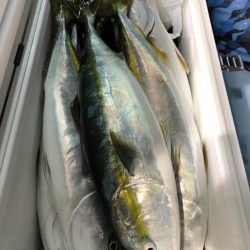 第二八坂丸 釣果