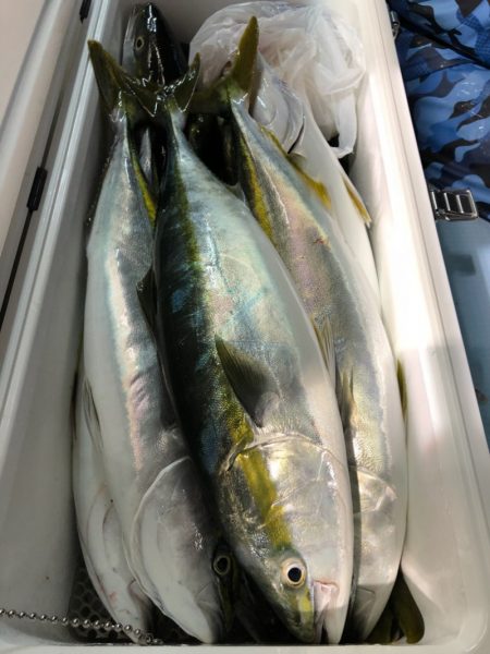 第二八坂丸 釣果