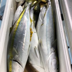 第二八坂丸 釣果