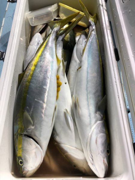 第二八坂丸 釣果