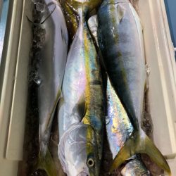 第二八坂丸 釣果