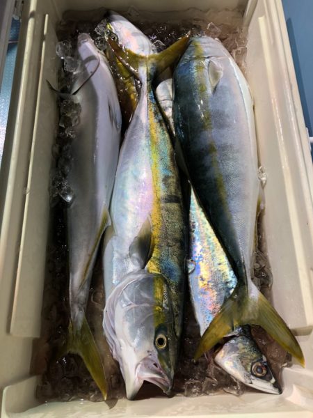 第二八坂丸 釣果