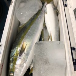 第二八坂丸 釣果