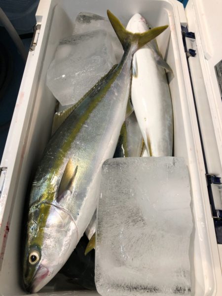 第二八坂丸 釣果