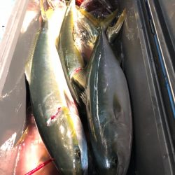 第二八坂丸 釣果