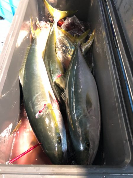 第二八坂丸 釣果