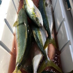 第二八坂丸 釣果