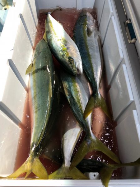 第二八坂丸 釣果