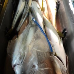 第二八坂丸 釣果