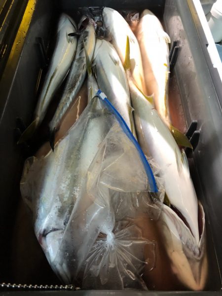 第二八坂丸 釣果