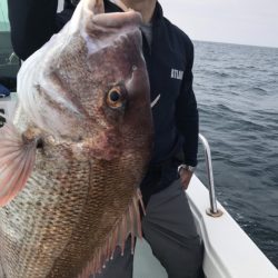 アマテラス 釣果