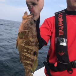 アマテラス 釣果